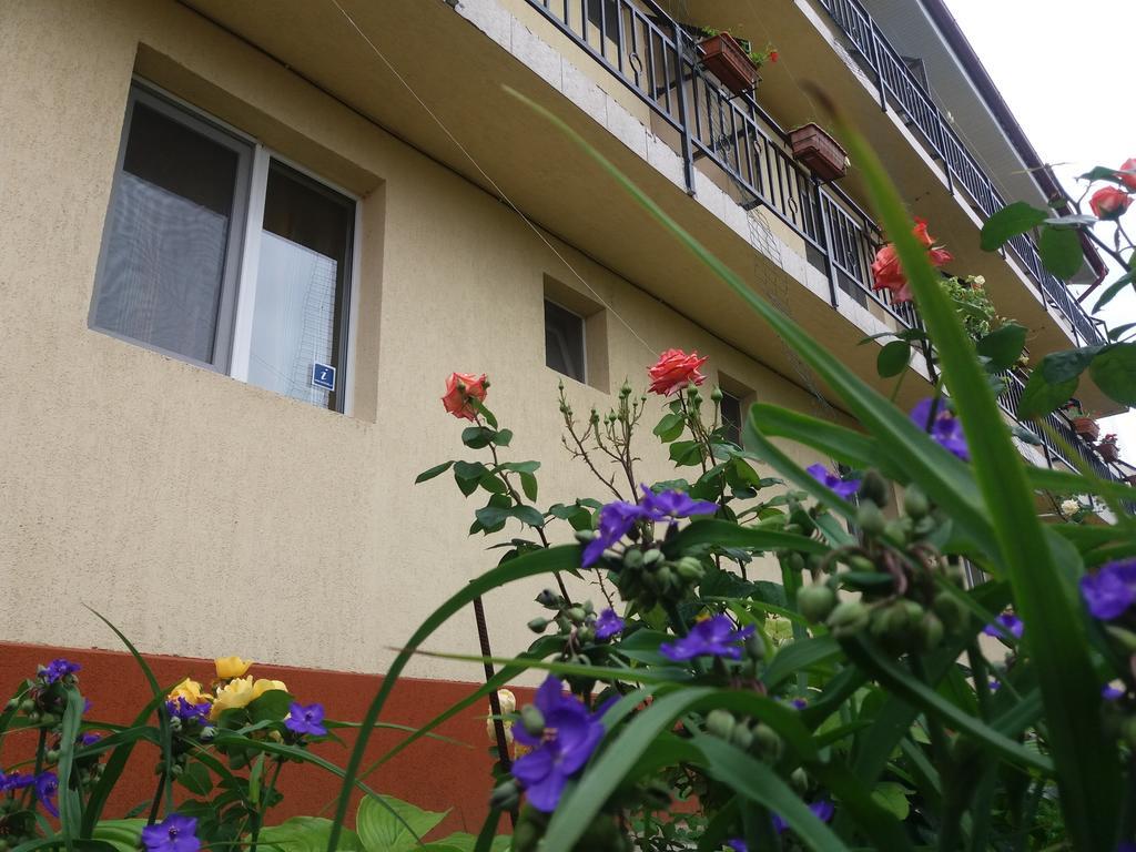 Vila Albatros 旧瓦马 外观 照片